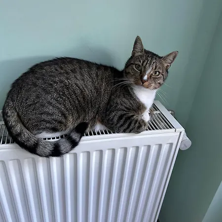 Dans Habitat Partage Chez Severine Homestay